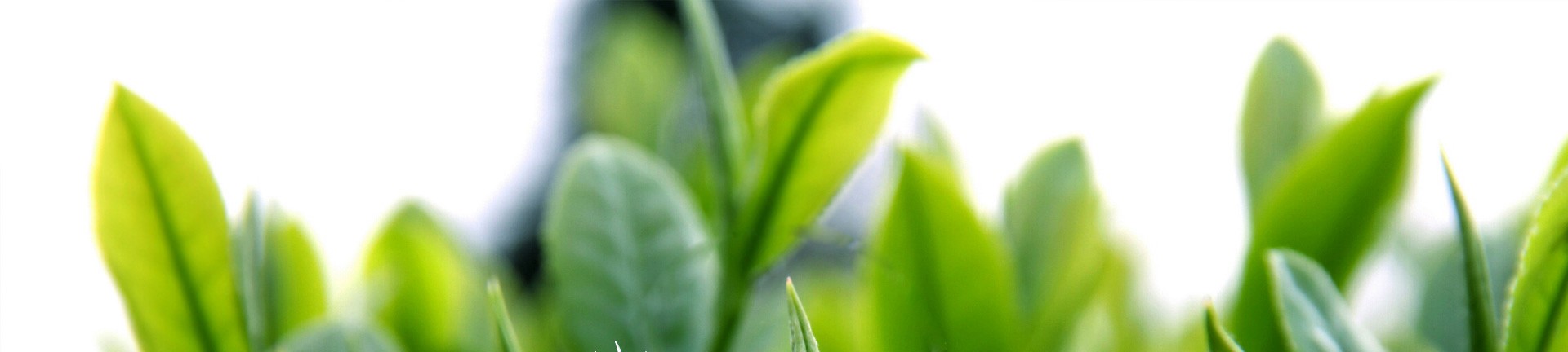 tp钱包最新版下载安装